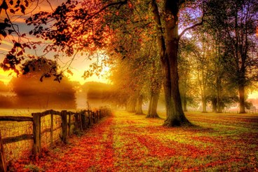 BagnoForestaSettembre