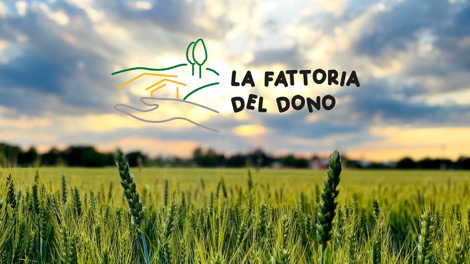 FattoriadelDono