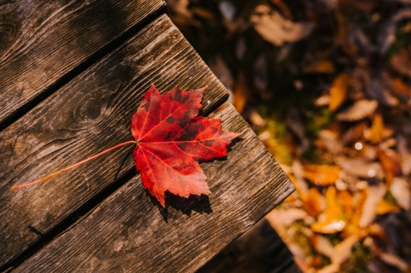 FotoEditorialeSettembre24