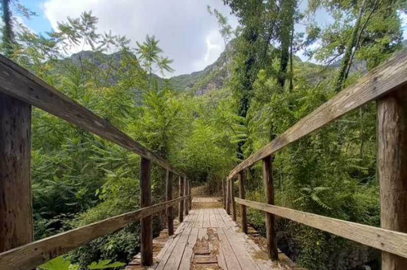 PONTE DCA