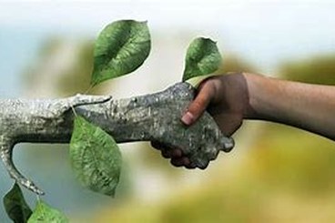 natura_comunità