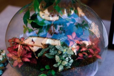 terrarium_marzo