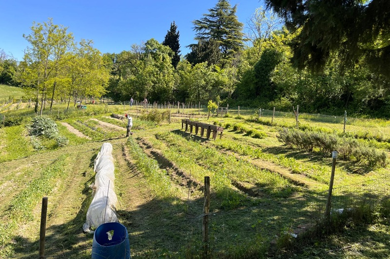 csa fattoriadeldono