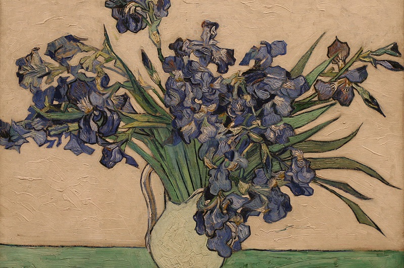 iris