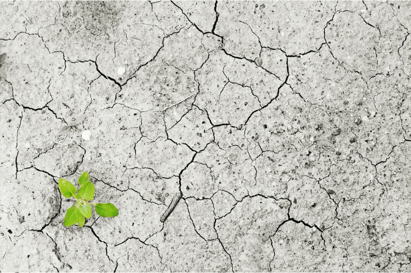recovery e cambiamento