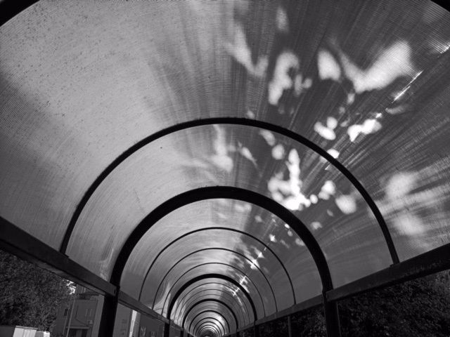 "Vortice" di Francesco