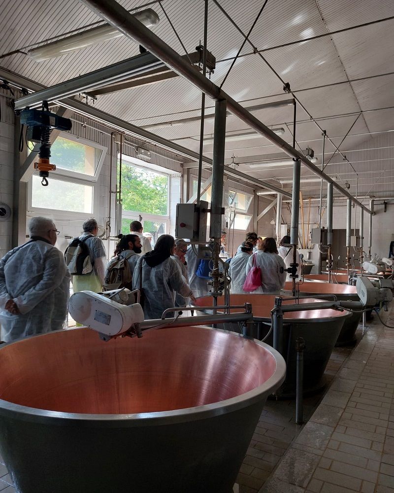 Caldaie in rame per la lavorazione del formaggio