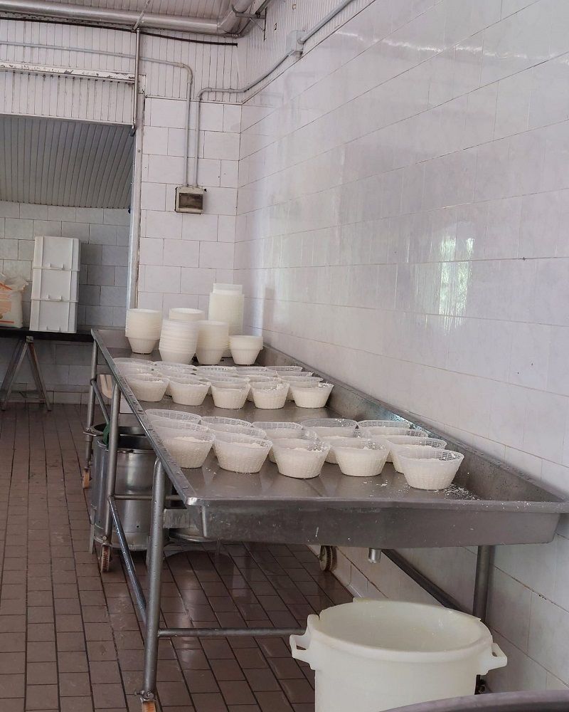 Ricotte prodotte al caseificio