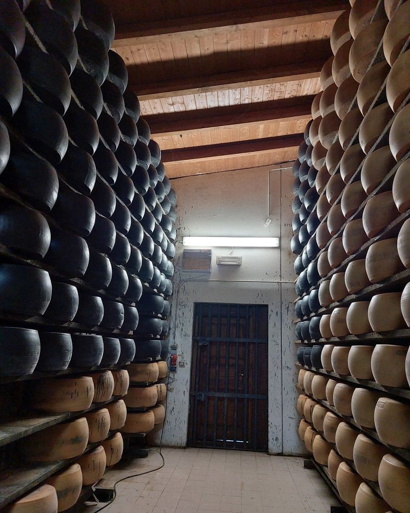 Forme di vario tipo