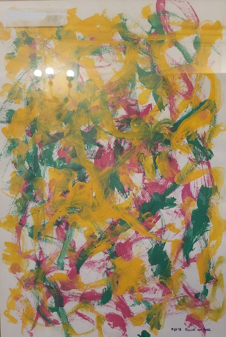 Disegno di Fly