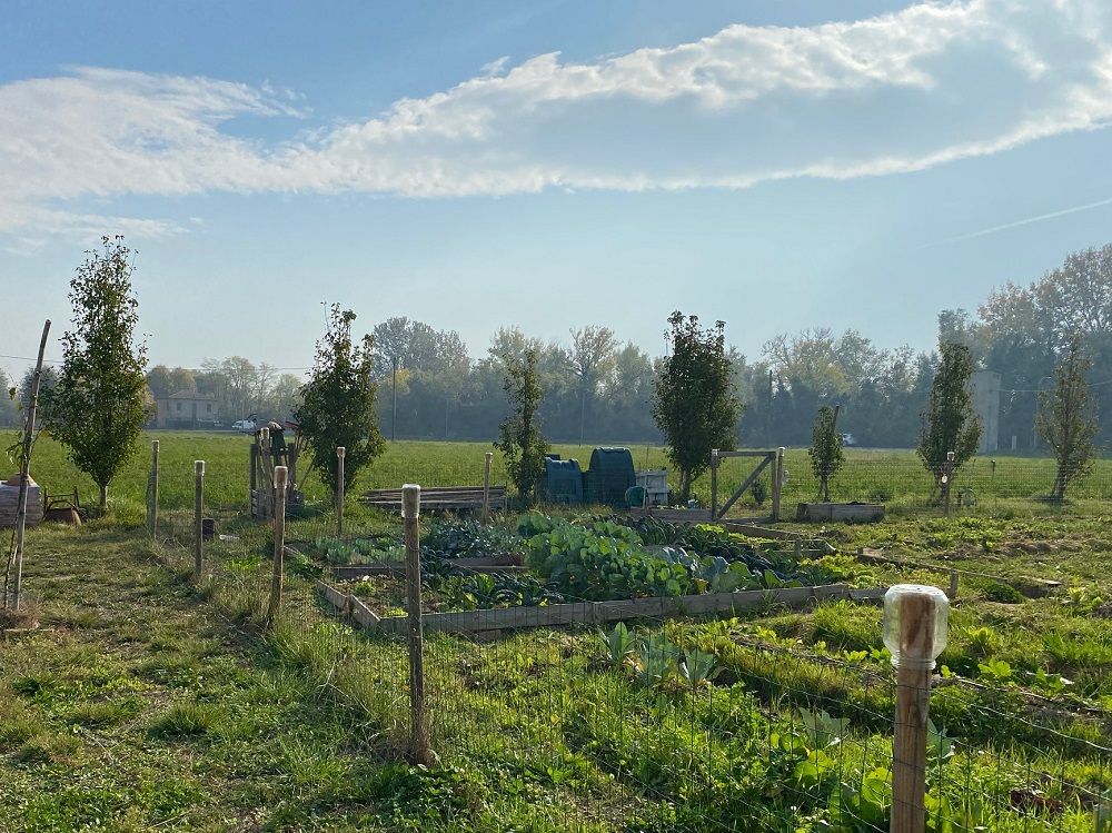 L'orto del "Giardino dei Folli"