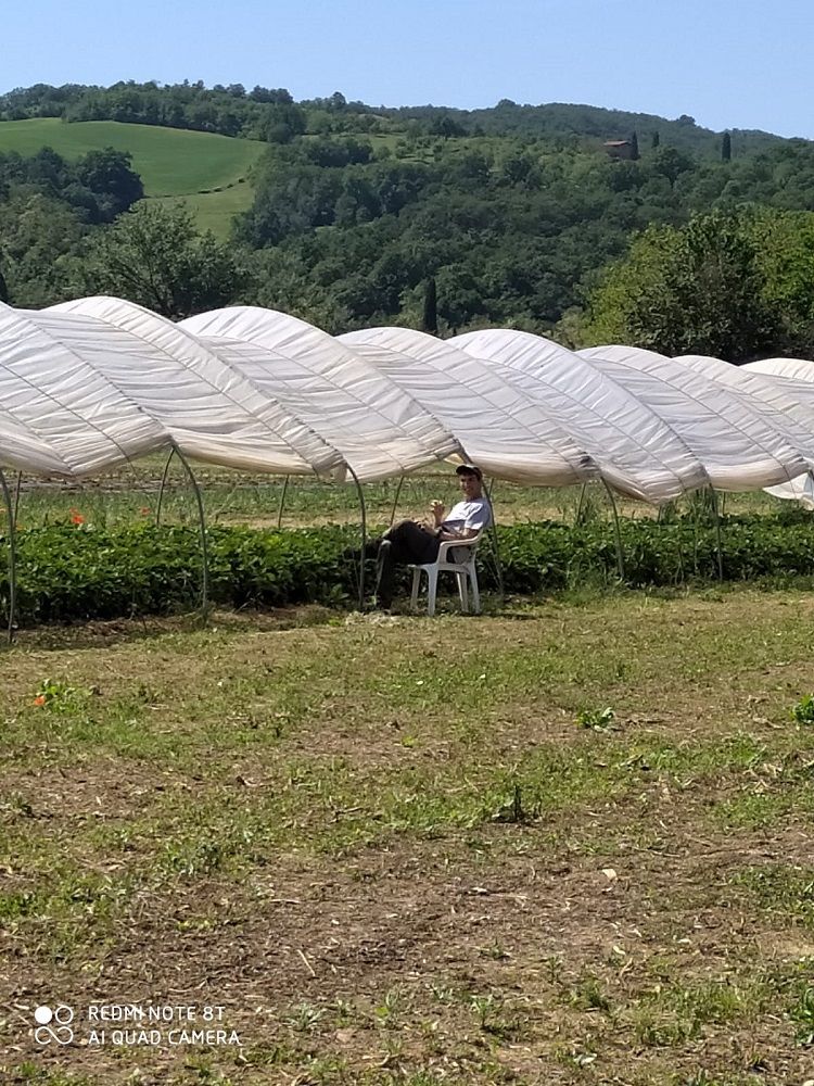La serra