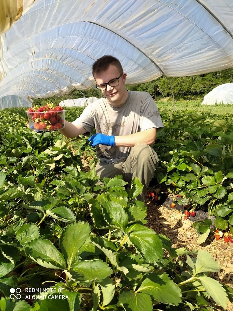 Al lavoro dentro la serra