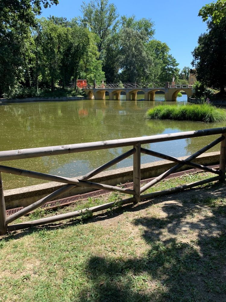 Il laghetto del parco