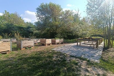 Recuperare i boschi urbani per tutelare l'ambiente e la salute mentale. Il caso di Cento