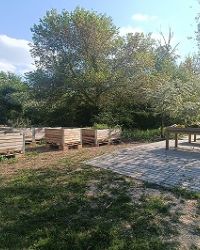 Recuperare i boschi urbani per tutelare l'ambiente e la salute mentale. Il caso di Cento