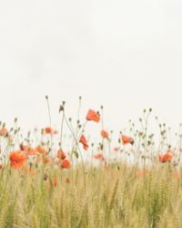 Da una storia familiare nasce un gruppo di auto mutuo aiuto sui disturbi borderline