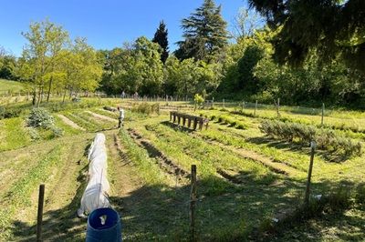 A San Lazzaro con Agriverde nasce una Comunità a sostegno dell'agricoltura sociale