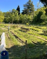 A San Lazzaro con Agriverde nasce una Comunità a sostegno dell'agricoltura sociale