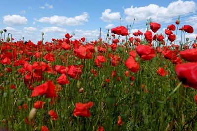 Editoriale di aprile 2026