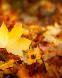 Editoriale di novembre 2025