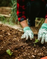 Natura, lavoro e comunità: il percorso di recovery della cooperativa Il Martin Pescatore