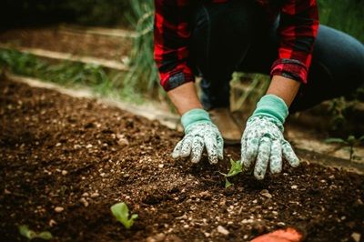 Natura, lavoro e comunità: il percorso di recovery della cooperativa Il Martin Pescatore