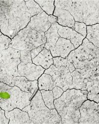 Costruire un percorso di salute e libertà attraverso il recovery college