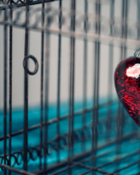Cuore di una madre e TSO